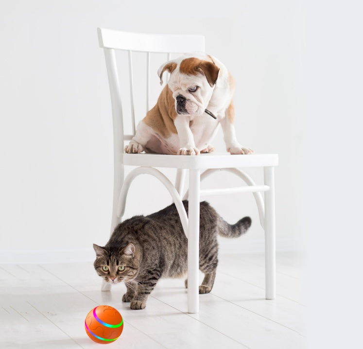 Wicked Ball Toy Intelligent Ball USB Cat Toys Self Rotating Ball Automatic Rotation Ball